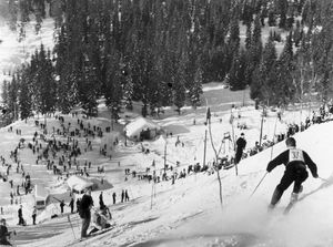 올림픽 기간 중 알파인 스키에서 스타인 에릭슨