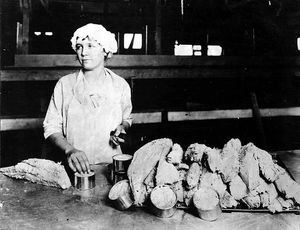 미국 캘리포니아주 롱비치에서 한 통조림 공장 직원이 참치 통조림을 채우는 모습