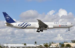 스카이팀 도장기(델타 항공)