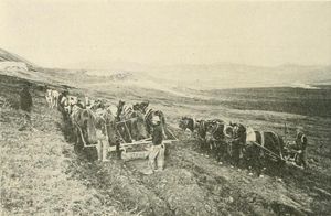 말이 끄는 프레스노 스크레이퍼로 물 공급 도랑을 파는 모습