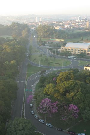 녹지 지역으로 둘러싸인 피라시카바의 한 대로의 모습.