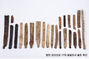 함안군의 6세기 목간