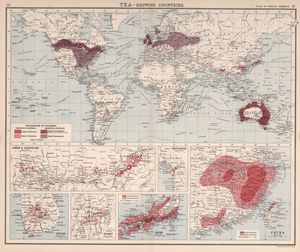 1907년 차 수출국과 수입국 세계 지도