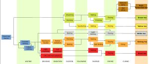 차 잎의 일반적인 가공 방법
