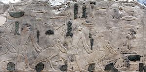 이집트 아부 구로브에 있는 니우세르 인의 태양 신전 벽 조각. . 노이에스 박물관, 베를린