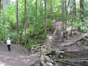 미스틱 베일은 1993년 대학에서 인수한 숲이 우거진 계곡이다.