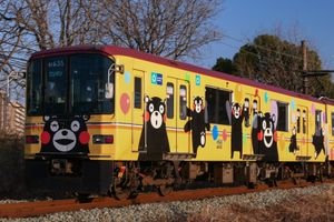 구마몬 테마의 구마모토 전기 철도 열차 외부 (2024)