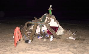 오크 스트리트 비치에서 발견된 재료로 만든 정크 아트