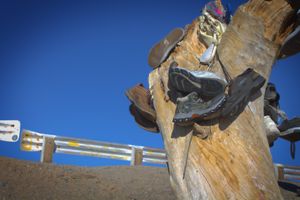 66번 국도변 캘리포니아주 앰보이 근처에 설치된, 시간이 지나며 계속 변화하는 정크 아트