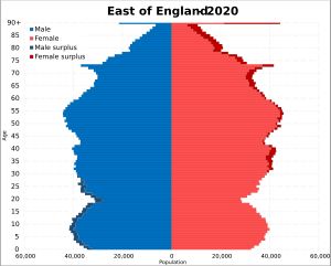 2020년 이스트오브잉글랜드 인구 피라미드