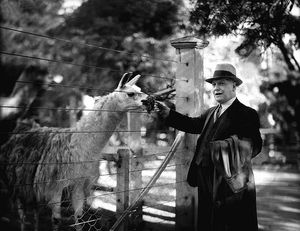 1937년 동물원 이사회의 회장이 라마에게 먹이를 주는 모습