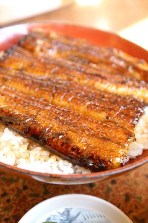 장어 가바야키를 밥에 얹은 요리, 장어덮밥