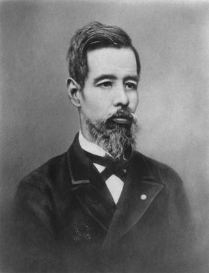 일본 외무대신 무쓰 무네미쓰는 처벌 없는 조사를 발표했다.