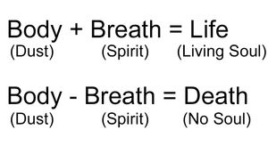 창조와 죽음의 방정식