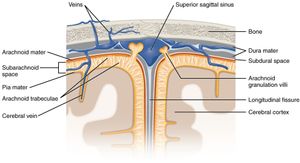 거미막융모(arachnoid villi)를 지나 두개골의 정맥굴(venous sinus)로 가는 뇌척수액