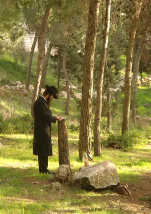 브레슬로프 하시드가 히트보데두트를 수행하고 있다.