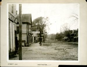 1872-1887년경 조지 브래드포드 브레이너드 거리