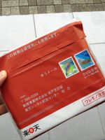 얇고 가벼운 DVD 디스크의 도입으로 우편을 통한 영화 대여 서비스가 가능해졌고, 이는 기존의 오프라인 매장에 새로운 경쟁 구도를 만들었다.