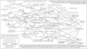 PC상의 Shift_JIS 변형과 교차점 및 기타 하위 집합을 포함한 관련 인코딩 간의 관계. 제공된 이름은 설명적이다.