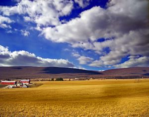 2008년 1월 윈저 타운십의 농장