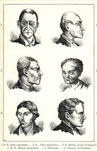 『범죄인』 삽화: "범죄자 유형들"