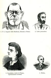 『범죄인』 삽화: "이탈리아 범죄자 유형들"