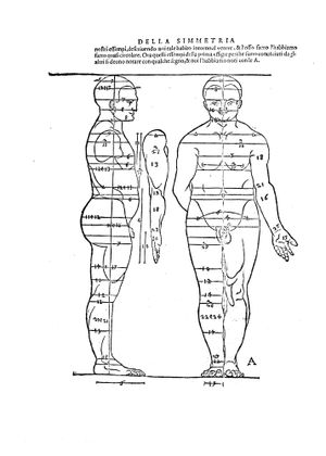 《인체 비례 4서》의 삽화