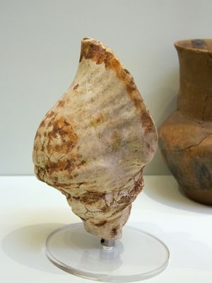 의례용 바다 달팽이 (트리톤) 소라, 붉은색 페인트로 장식. 파이토스, 기원전 3600–3000년