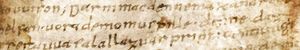 무스필리(Muspilli) 57행: "dar nimac denne mak andremo helfan uora demo muspille" (바이에른 주립 도서관 Clm 14098, f. 121r)