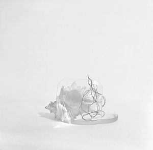 바실리 랴브첸코(Vasiliy Ryabchenko), 정물(1970년대)