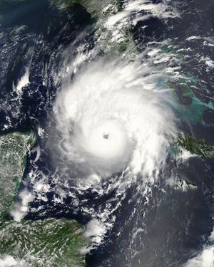 허리케인 구스타브