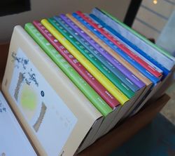 심야식당 (중국어판)