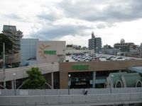 프레스트 코리엔