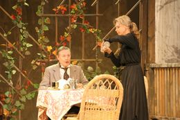 트리고린 역의 유리 솔로민 (말리 극장, 2008년)