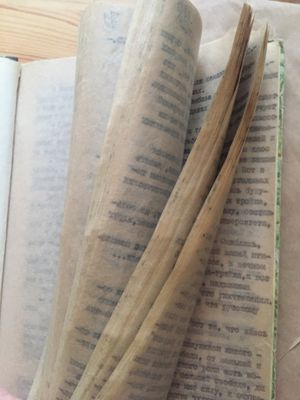 타이프로 작성된 사미즈다트의 확대 사진, 모스크바