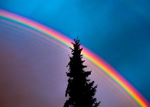 무지개의 가장자리는 폴드 파국이며, 따라서 에어리 함수로 설명되는 회절 패턴을 갖는다. 이는 물방울의 모양에 관계없이 일반적이고 안정적이다.