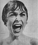 영화 『싸이코(Psycho)』(1960년)의 샤워 장면