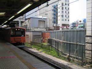 2010년경 억새 심기