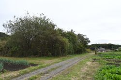 시라카와군(白河郡)의 세키와쿠 관아 유적으로 추정되는 곳}}