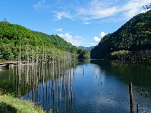 오타키 강 자연호