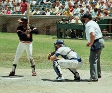 1981년 1981년 자이언츠에서 타석에 들어선 모건