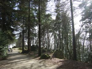 2009년 모르탱, 314 고지. 제2 SS 기갑 사단에 포위된 제120 보병 연대 제2대대의 위치