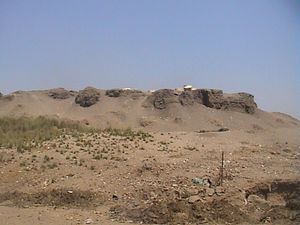 멤피스를 내려다보는 아프리에스의 궁전 유적