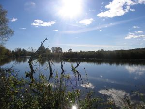 우스트라다강, 폴란드 폴리체의 오데르강 좌측 지류