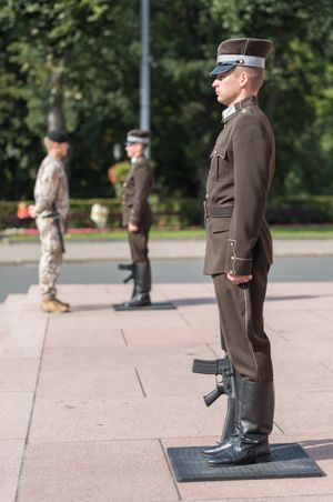 자유 기념비 근위병 사열