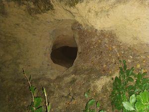 독일 헤세주에 있는 늑대 굴