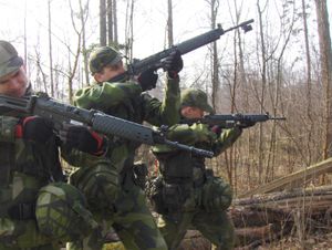 2008년 스웨덴 징집병