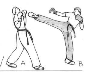 라운드하우스 킥