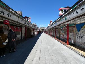 2020년 코로나19 팬데믹으로 인한 비상사태 하의 나카미세도리