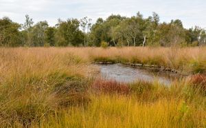데 호로테 필 국립공원